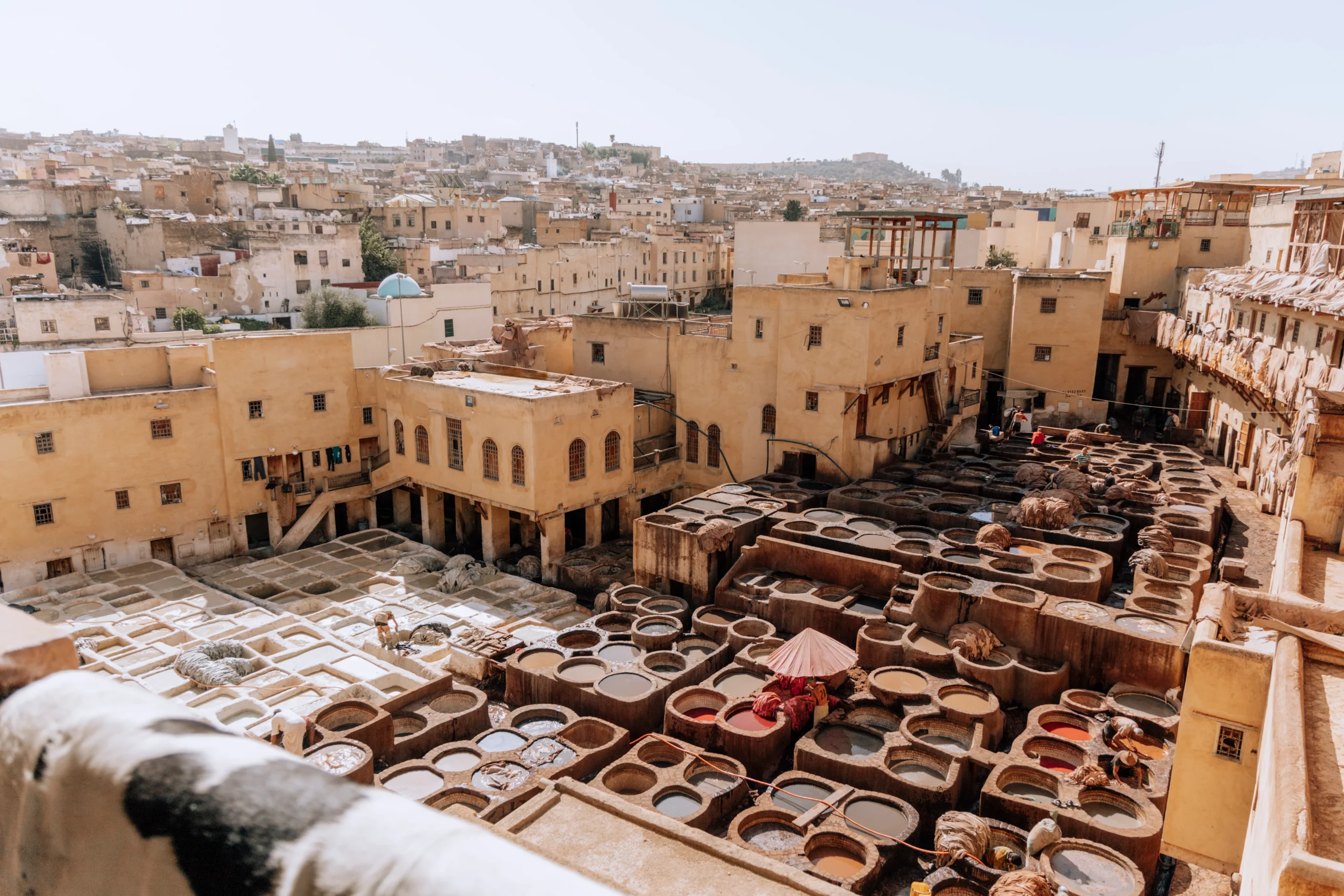 Fez